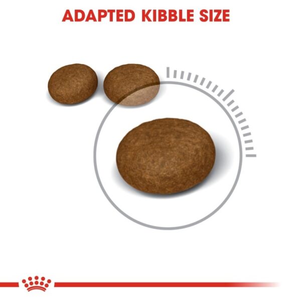 Feline Care Nutrition Hair & Skin 2 KG - Image 2