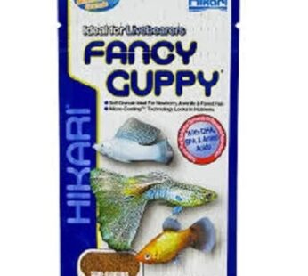 FANCY GUPPY