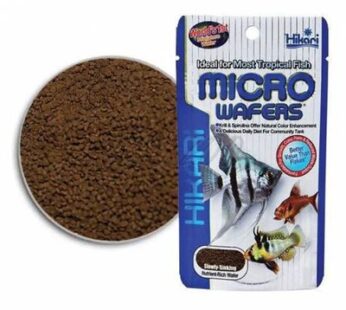 Micro Wafers