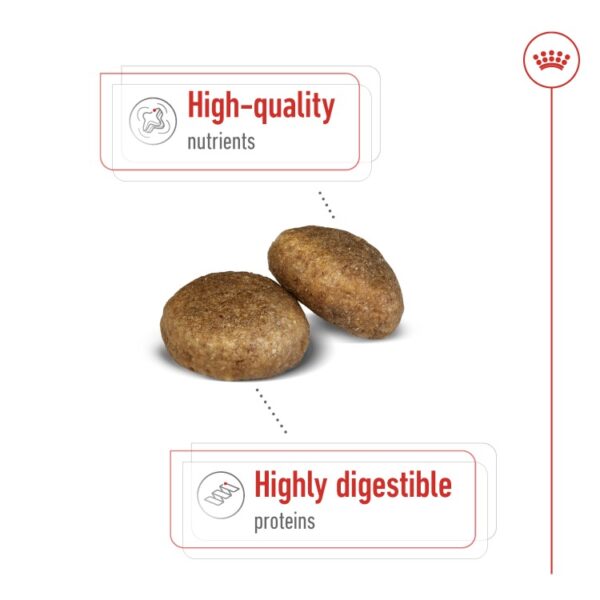 Size Health Nutrition Maxi Adult 15 KG - Image 3