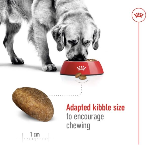 Size Health Nutrition Maxi Adult 15 KG - Image 5