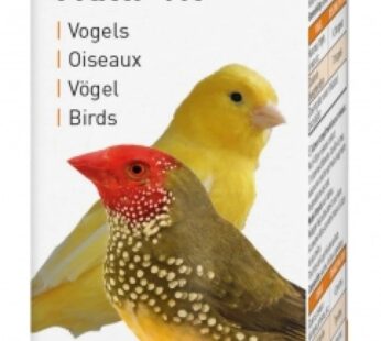 MULTI VITAMIN BIRD 20ML (NEW FORMULA)