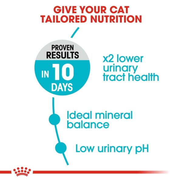 Feline Care Nutrition Urinary Care 4 KG - Image 3
