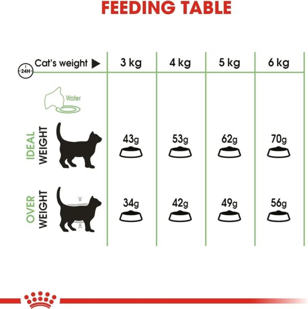 Royal Canin Fcn Feline Care Nutrition Digestive 2Kg Cat Dry Food - Image 4