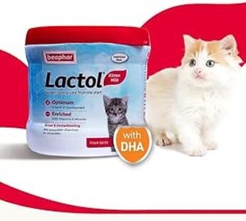 Beaphar Lactol Kitten Milk