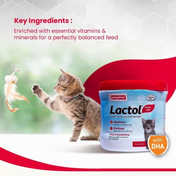 Beaphar Lactol Kitten Milk - Image 2