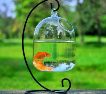 Desk Hanging Fish Tank Bowl with Stand