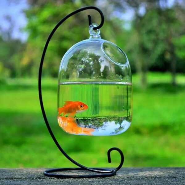 Desk Hanging Fish Tank Bowl with Stand