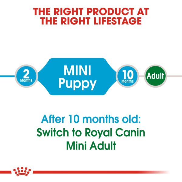 Size Health Nutrition Mini Puppy 8 KG - Image 3