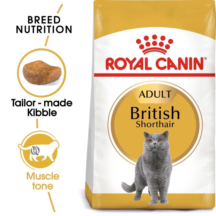 Royal Canin Fbn British Shorthair Adult - Image 2
