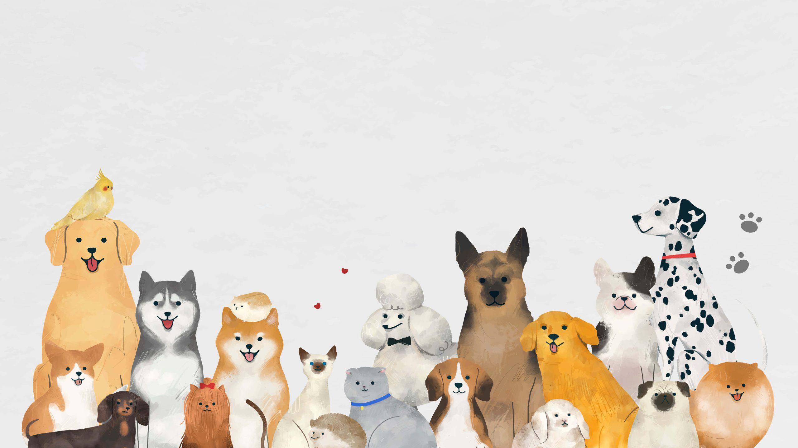 hero-banner
