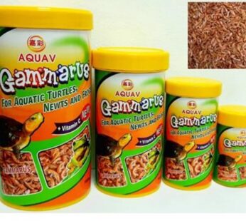 aquav gammarus turtel food