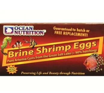 Brine shrimp eggs 20 g