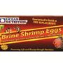 Brine shrimp eggs 20 g