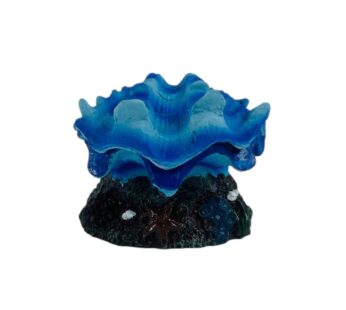 DC7074 ( 9*6.5*9) BLUE BUBBLE SHELL