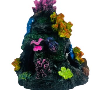 DC7021 ( 13.8*13.5*16) CORAL REEF