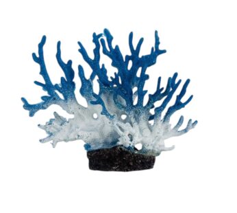 DC7070 ( 19*4*15) ARTISTIC BLUE CORAL