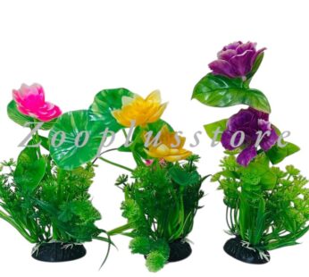 D503 PLANT