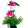 D503 PLANT
