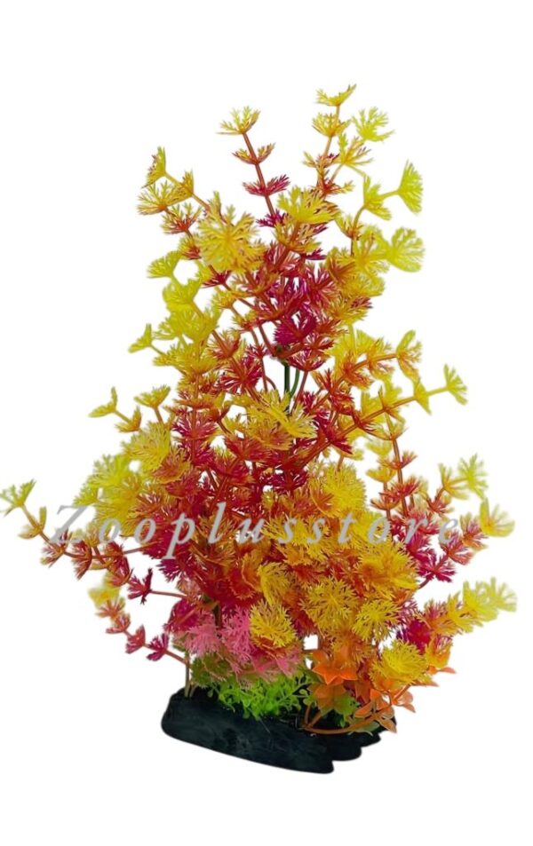 K713 PLANT