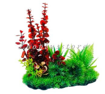 L704 PLANT