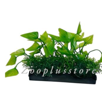 M471 PLANT