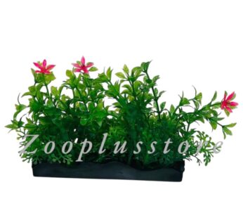 M475 PLANT