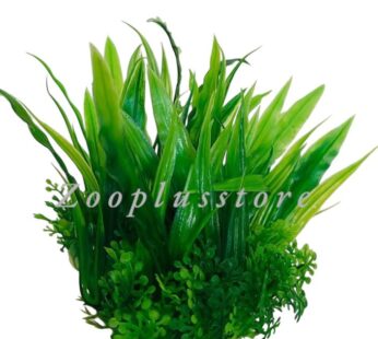 M534 PLANT