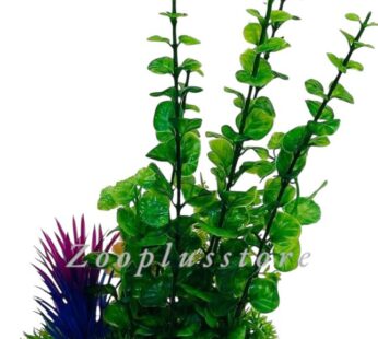 M972 PLANT