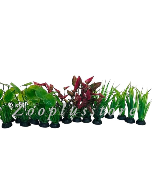 P PLANT