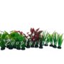 P PLANT