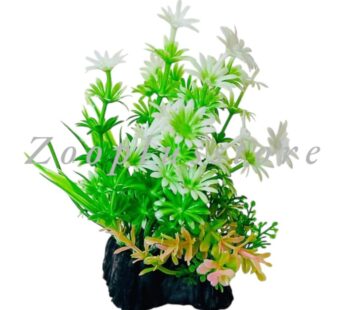 P524 PLANT