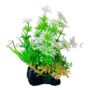P524 PLANT