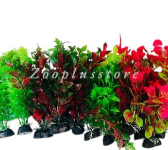S801 PLANT
