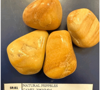 STONE YELLOW NATURAL 20KG SR-81