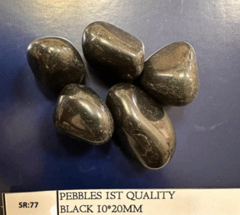 ST05 BLACK PBLS 20 KG (SR77)
