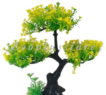 T1163 PLANT