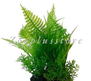 P525 PLANT