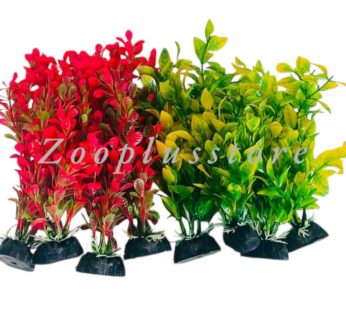 S801 PLANT