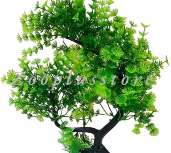 T1152 PLANT