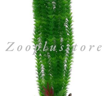 G2011 LONG PLANT