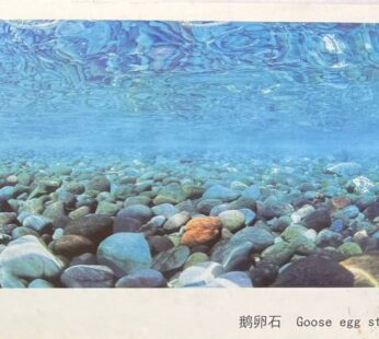BACKGROUND ROCK & REVER