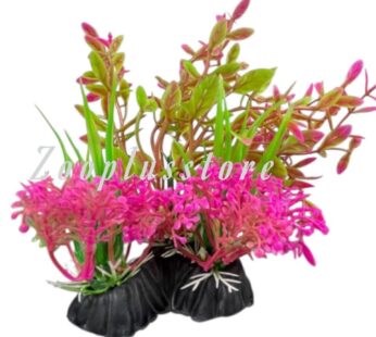 P523 PINK PLANT