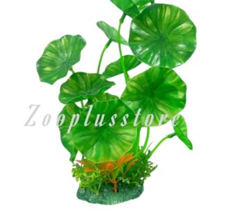 M895 ROUND LEEF PLANT