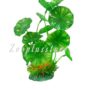 M895 ROUND LEEF PLANT
