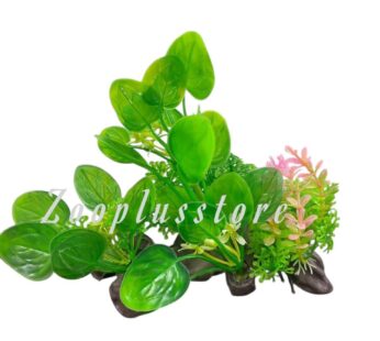 K408 ROUND LEEF PLANT