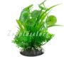 T401 PLANT