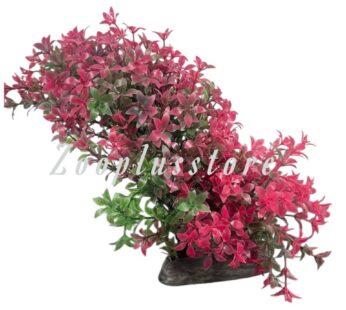 M933 RED PLANT