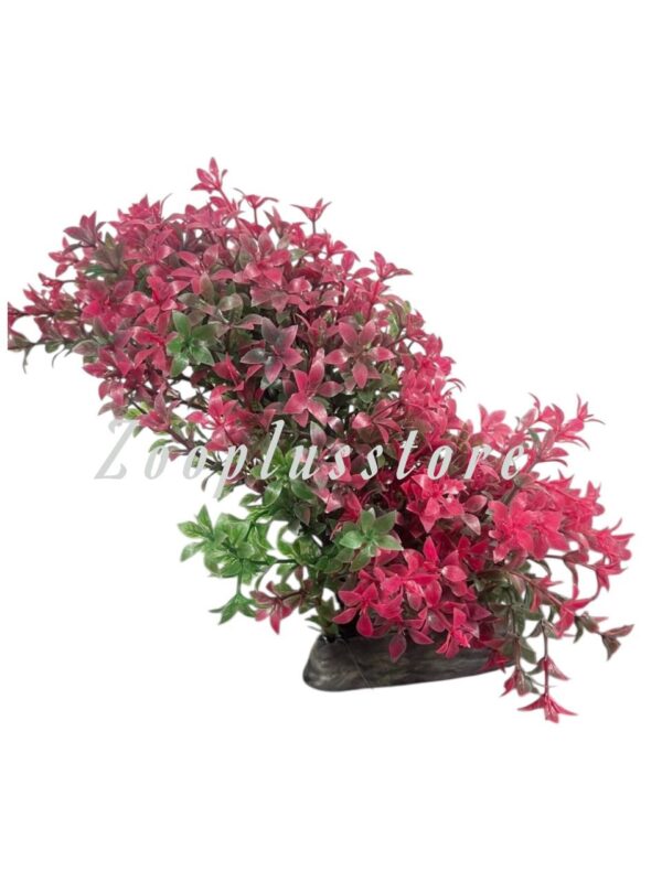 M933 RED PLANT