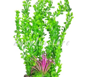 K1519 LONG PLANT